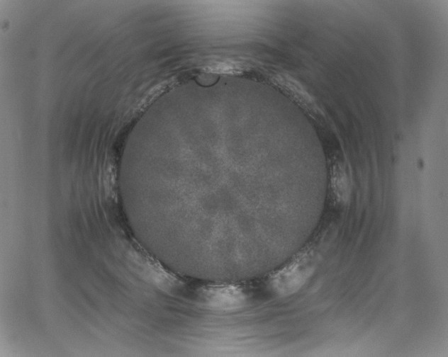 X0000067950322200604131442