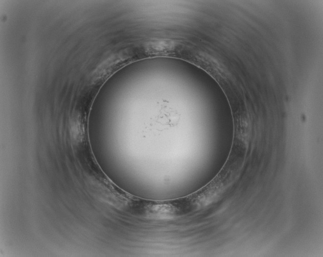 X0000067950324200604131442