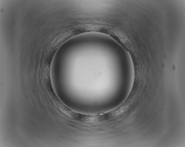 X0000067950325200604131442