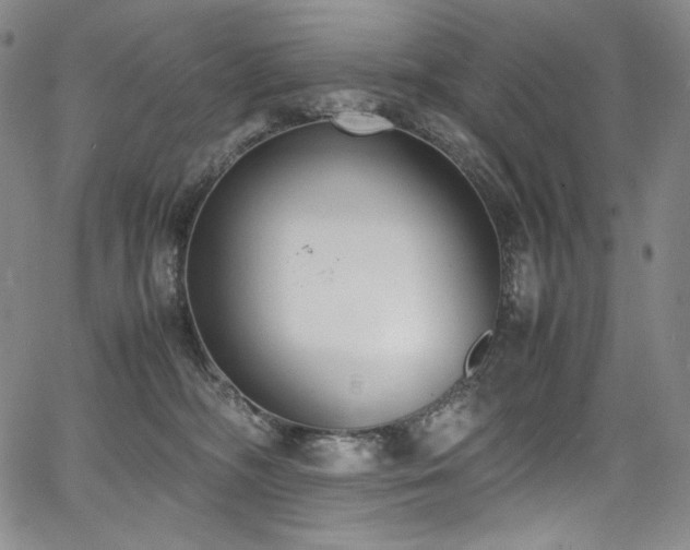 X0000067950326200604131442