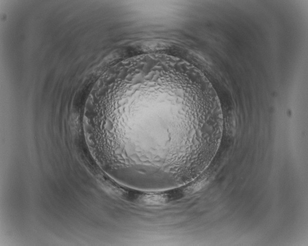 X0000067950327200604131442