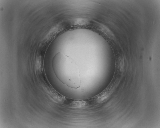 X0000067950328200604131442