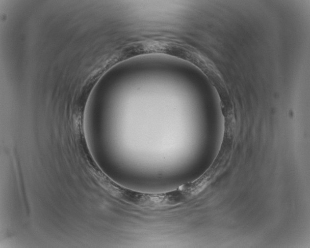 X0000067950329200604131442