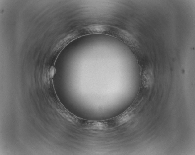 X0000067950330200604131442