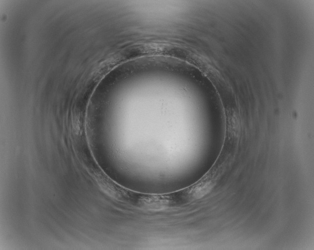 X0000067950331200604131442