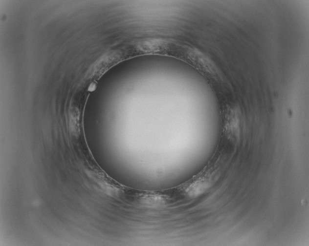 X0000067950332200604131442