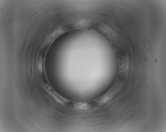 X0000067950334200604131442