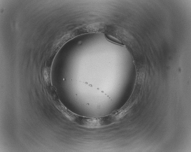 X0000067950335200604131442