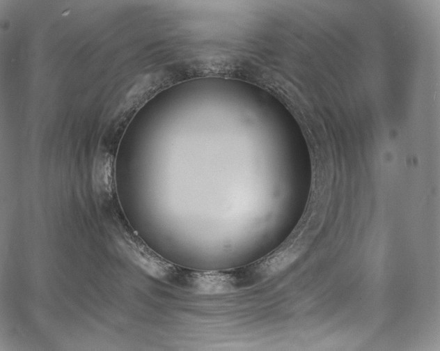 X0000067950336200604131442