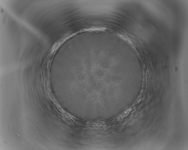 X0000067950337200604131441