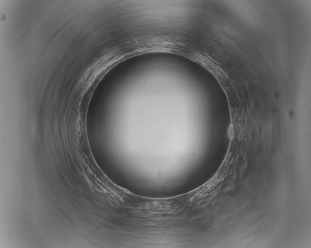 X0000067950338200604131441