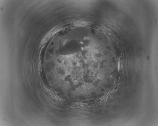 X0000067950339200604131441