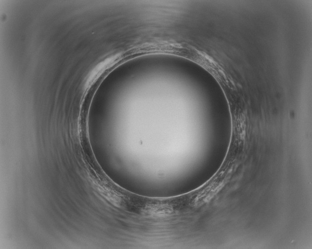 X0000067950340200604131441