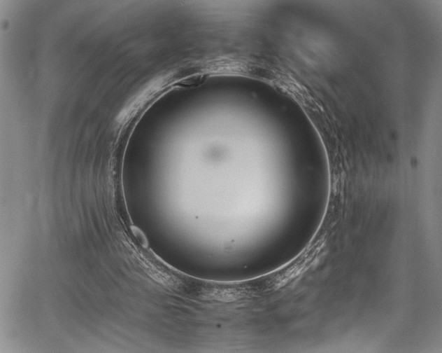 X0000067950341200604131441