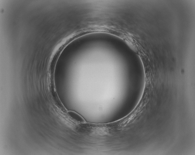 X0000067950342200604131441