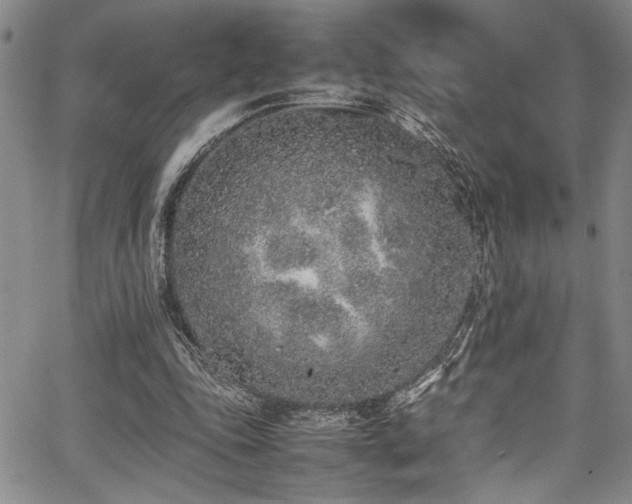 X0000067950343200604131441