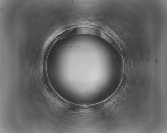 X0000067950344200604131441