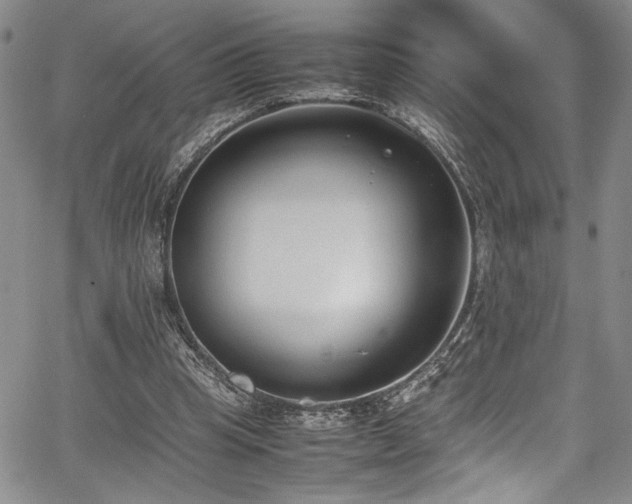 X0000067950345200604131441