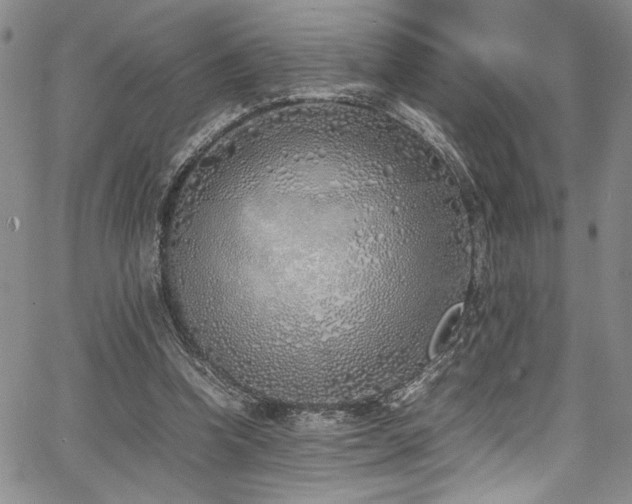 X0000067950346200604131441