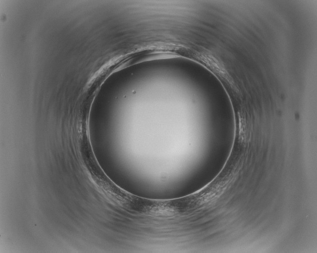 X0000067950348200604131441