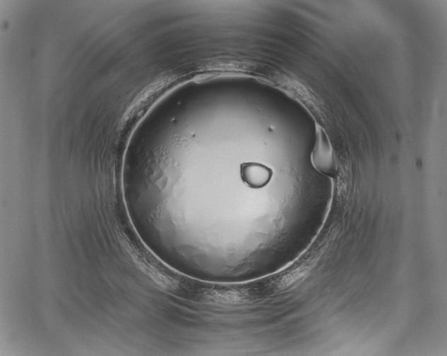 X0000067950349200604131441