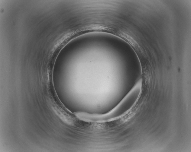 X0000067950350200604131441