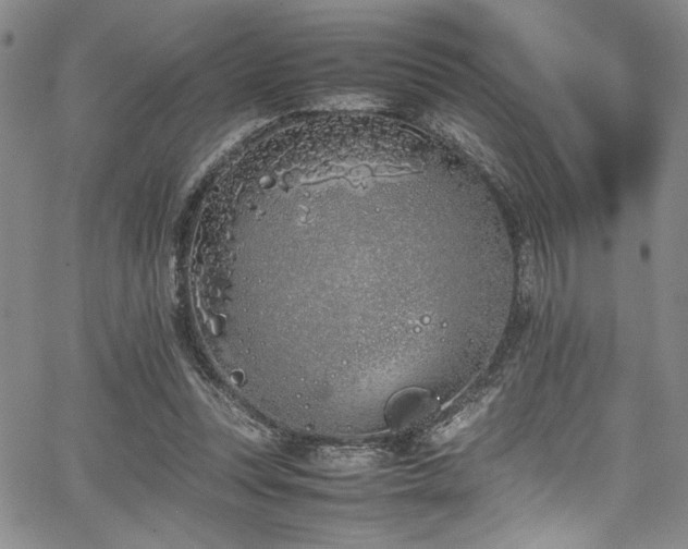 X0000067950351200604131441