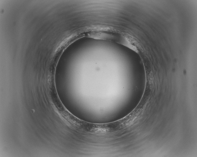 X0000067950352200604131441