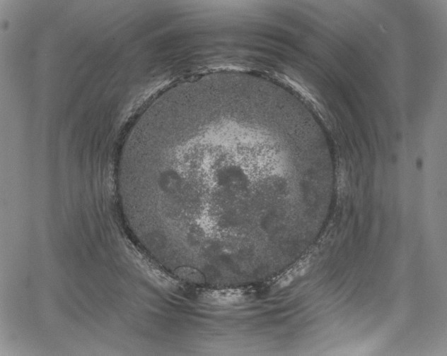 X0000067950353200604131441