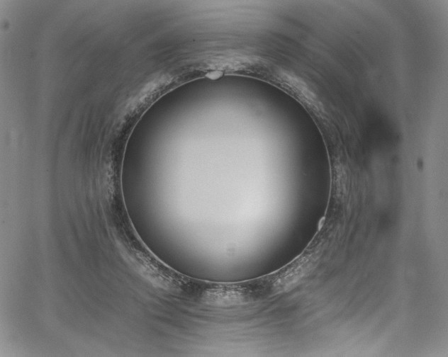 X0000067950354200604131441