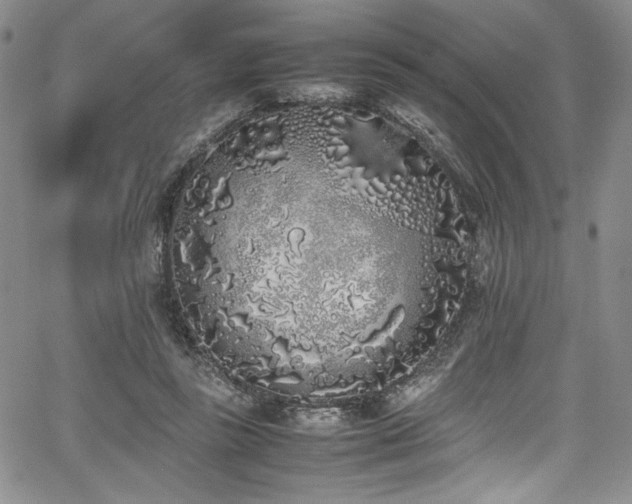 X0000067950355200604131441