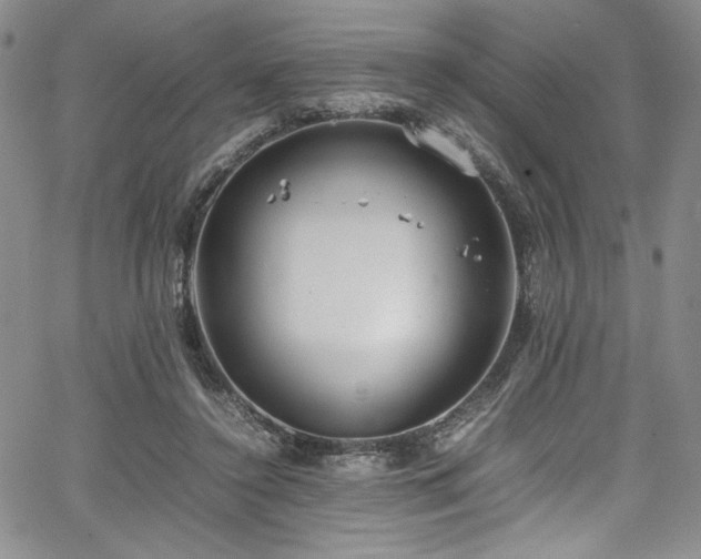 X0000067950356200604131441