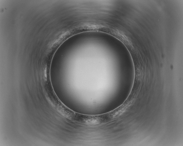 X0000067950358200604131441