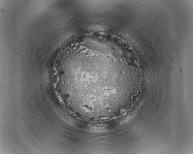 X0000067950359200604131441