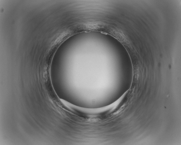 X0000067950360200604131441