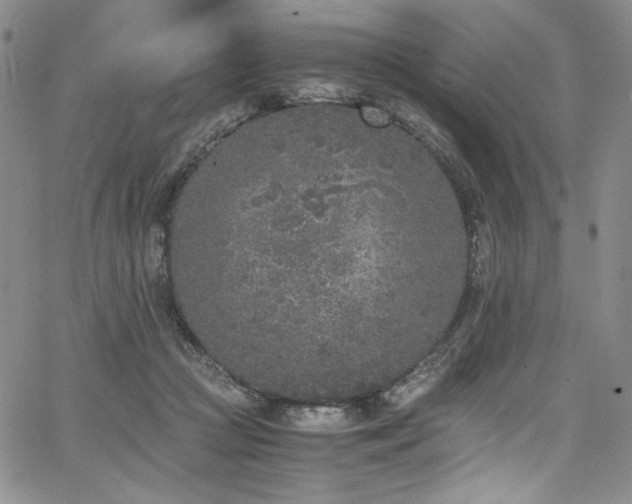 X0000067950361200604131441