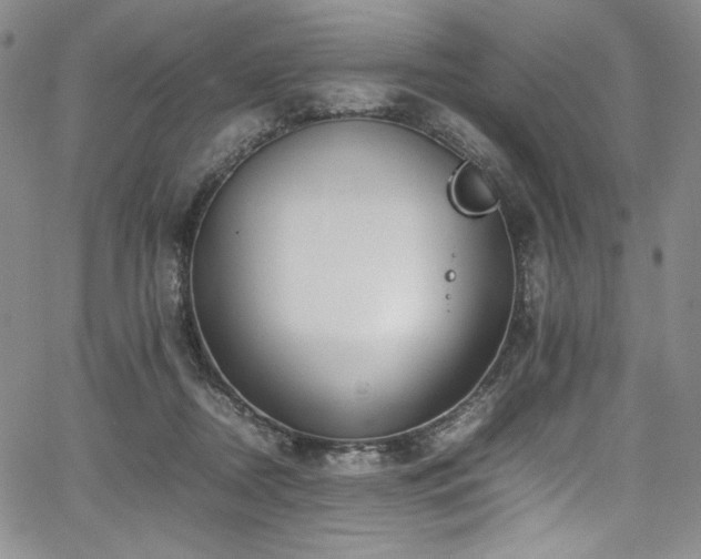 X0000067950362200604131441