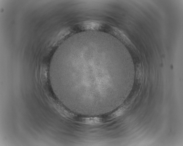 X0000067950363200604131441