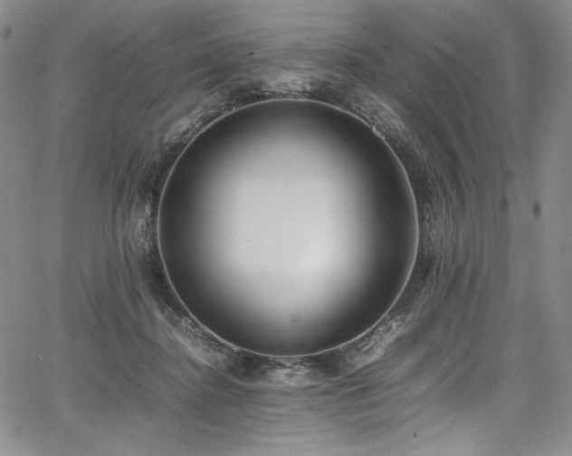 X0000067950364200604131441