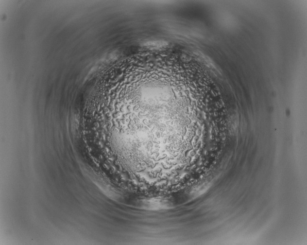 X0000067950365200604131441