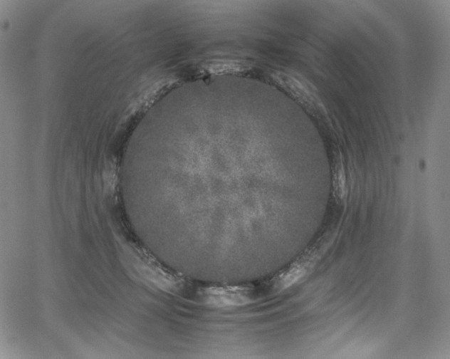 X0000067950367200604131441