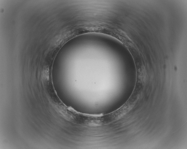 X0000067950368200604131441