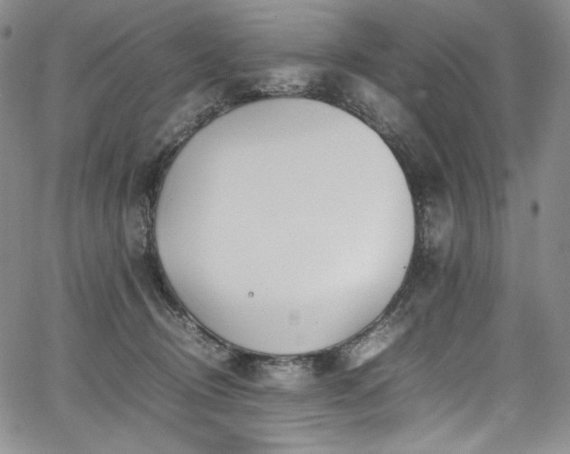 X0000067950370200604131441