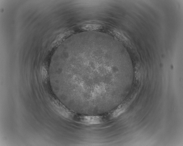 X0000067950371200604131441