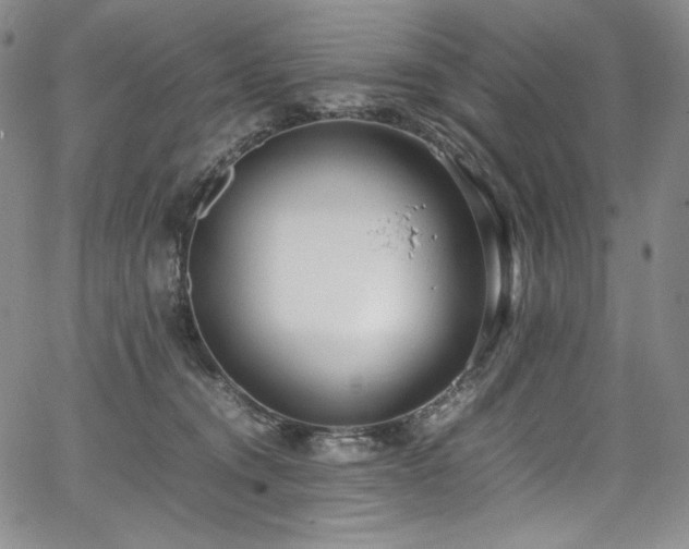 X0000067950372200604131441