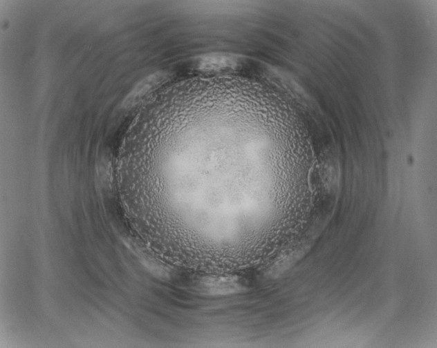 X0000067950375200604131441