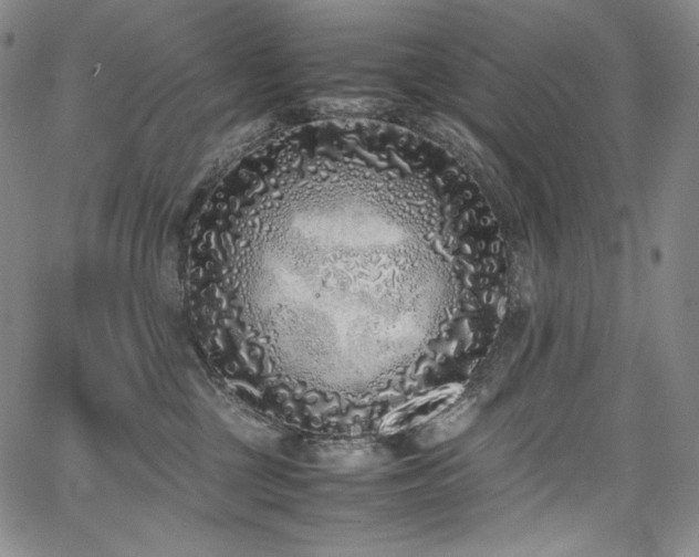 X0000067950377200604131442