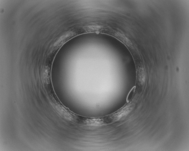 X0000067950378200604131442