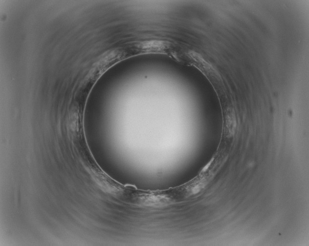 X0000067950379200604131442