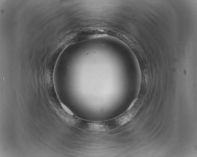 X0000067950380200604131442